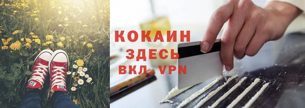 индика Алексеевка