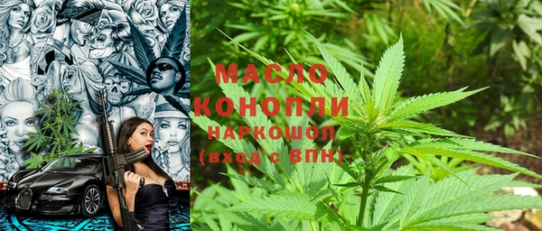 индика Алексеевка