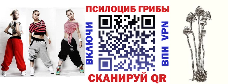 Псилоцибиновые грибы Psilocybe  Дегтярск 